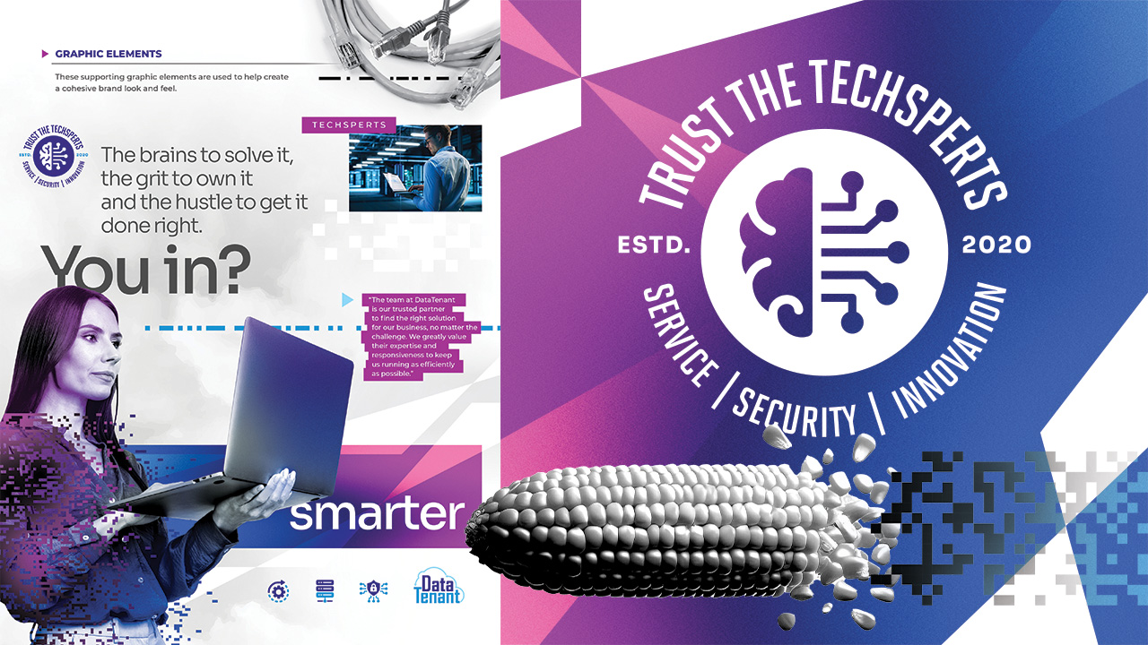 DataTenant brand work by MindFire Communications
